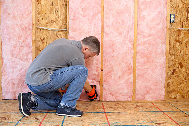 Best Insulation Replacement Services  in Colwich, KS