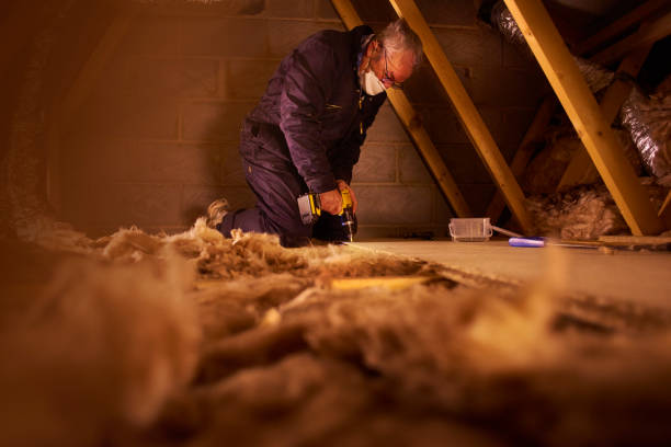 Best Insulation Inspection Services  in Colwich, KS